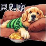 好黃金獵犬-微白目篇