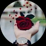 صباح الورد