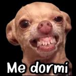 Escucho. pero no entiendo
