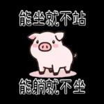 豬豬聯萌_你是豬嗎?只會吃