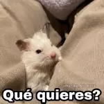 Tú el lunes por la mañana: