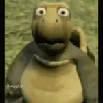 sandra