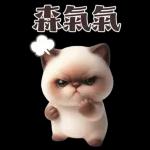 可愛的暹羅貓大貼紙