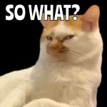 Ã³mo así? 🤨 🧐