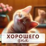 новые смайлики 😘🌞😊