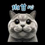 起肖貓貓★台語卡唬爛!
