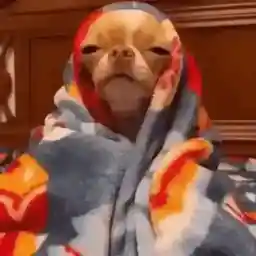 Все