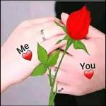 ملصقات مفضلة