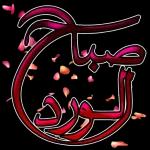 سنگی پایی سنگی پایی