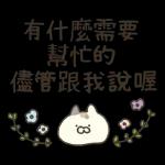 三只小猫生活日常☆ 2