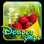 на все случаи