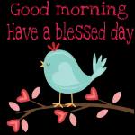 Good morning Have a blessed day