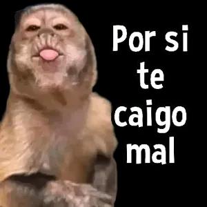 Por si te caigo mal - getsticker.com
