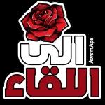 محتويات