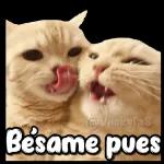 @Vickyfas Besame pues