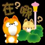 我的開心生活-吉咪咪