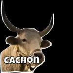 ¿QUIÉN DIJO MIEDO?