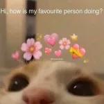 Hi, how is my favourite person doing?
Wholesome beans