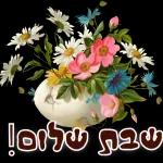 שבת שלום