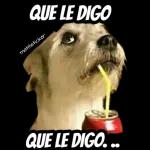 Cálmate we