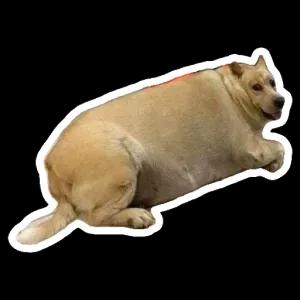 RQqAo0