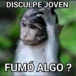 Feliz Natal família