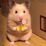 Animais com Emoji de Flor 🌹