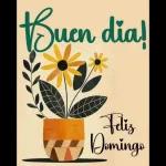 domingo 