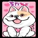 หาเงินให้เก่งกว่าที่ใช้ด้วย😏 