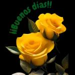 Stickers de flores