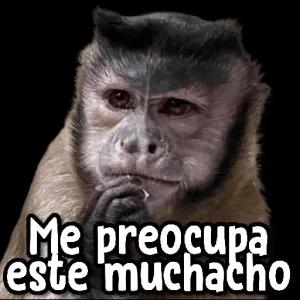 Me preocupa este muchacho - getsticker.com
