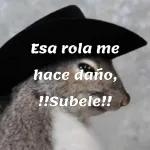 amorcito es marranito