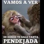 mis estickers 1