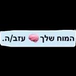 הורדה חינם, עדכונים יומיים, אין צורך בכניסה