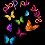 הורדה חינם, עדכונים יומיים, אין צורך בכניסה