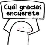 Que Borraste?