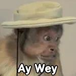 A mí me gusta la plata, no la gente