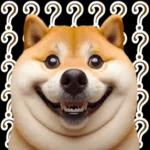 圓柴柴4：柴腹自由 薯條加大