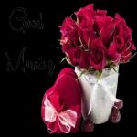 good morning