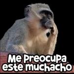 chistoso