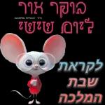 שישי שמח