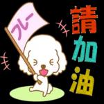 白貴賓犬表情包