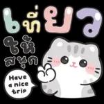 แมวมาร์คัส V.3 : HNY