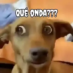 rQ0tO7