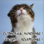 с добрым утром 