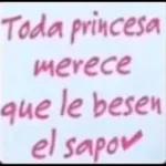 Toda princesa merece que le besen el sapo