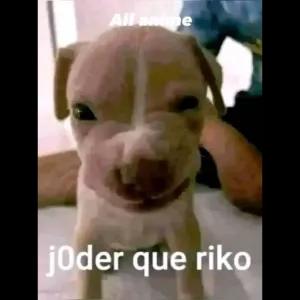 OlgMqy