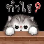 คุณกอดฉันหน่อยได้ไหม🥺