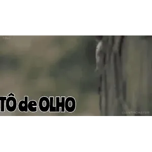 0xYTLz