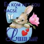 Good
Night